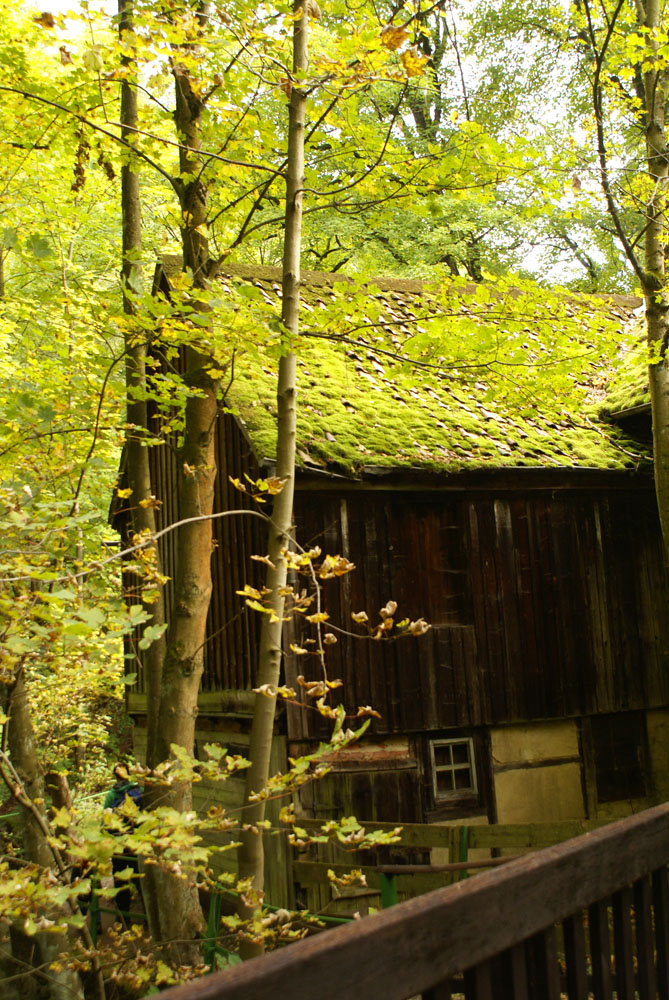 Herbstsonne im Okertal