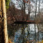 Herbstsonne im Rodenbeker Quellental