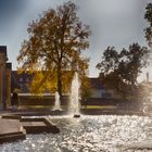 Herbstsonne im Schlossgarten Bruchsal