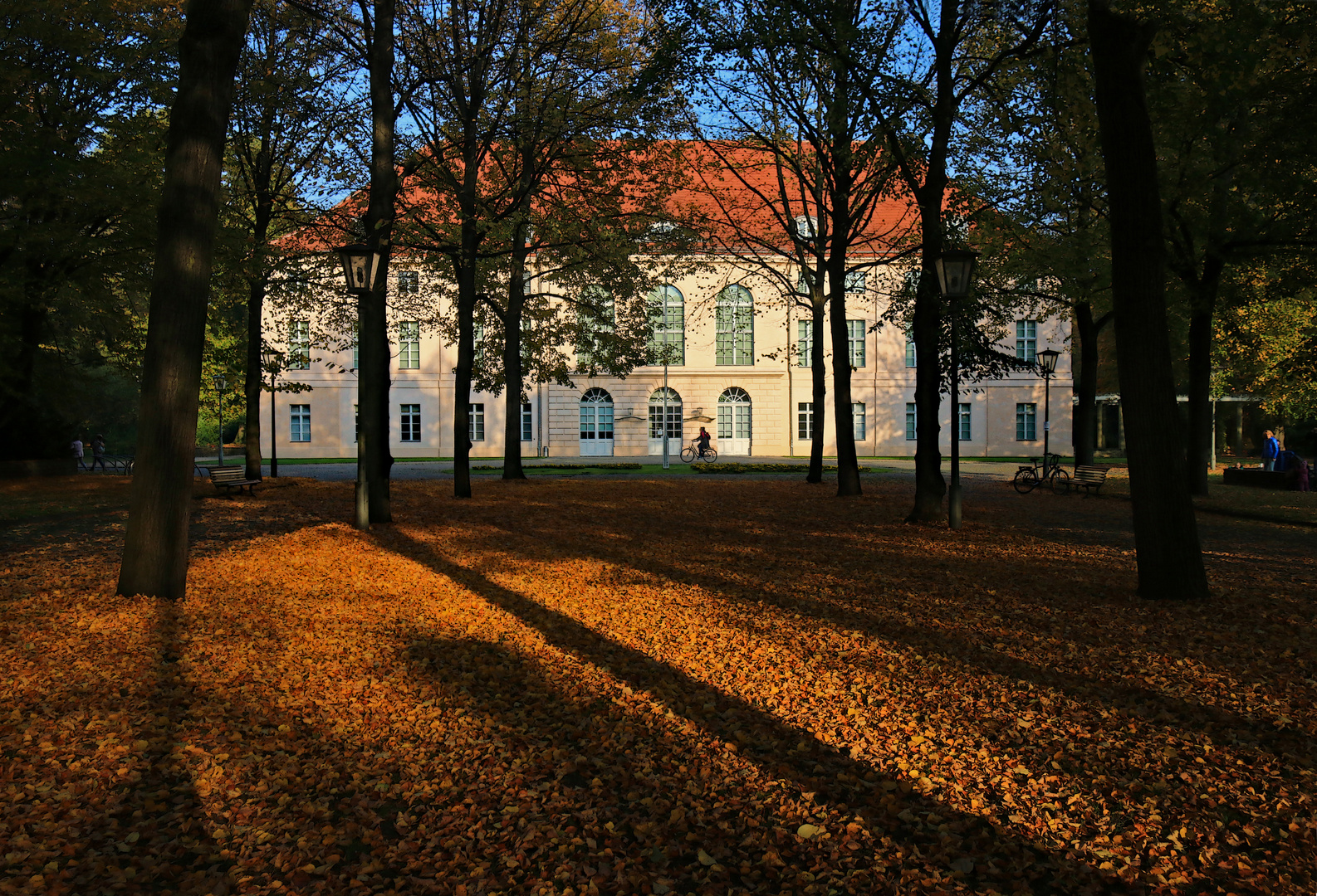 Herbstsonne im Schlosspark