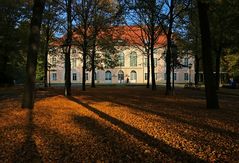 Herbstsonne im Schlosspark