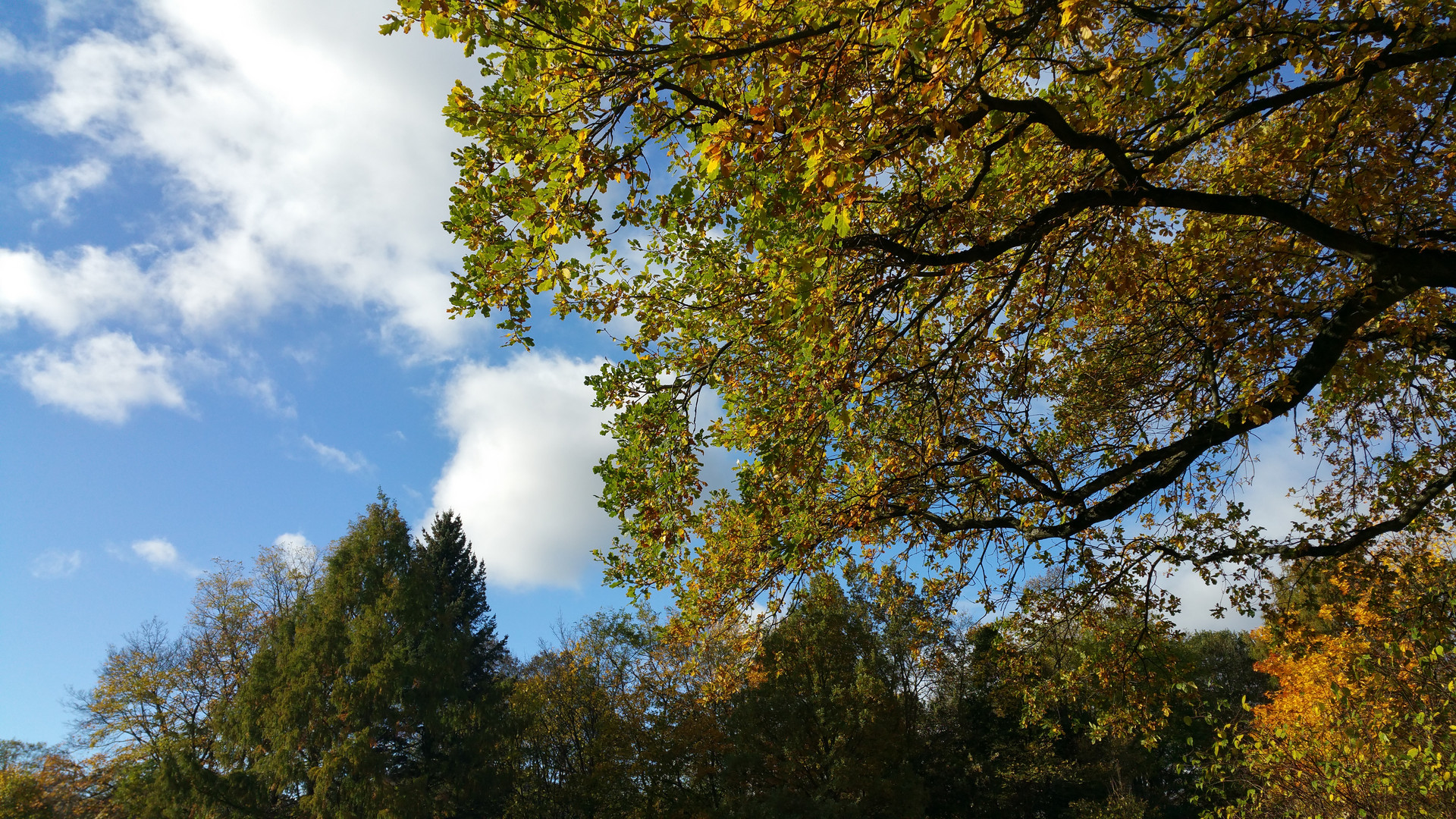 Herbstsonne im Schülerpark