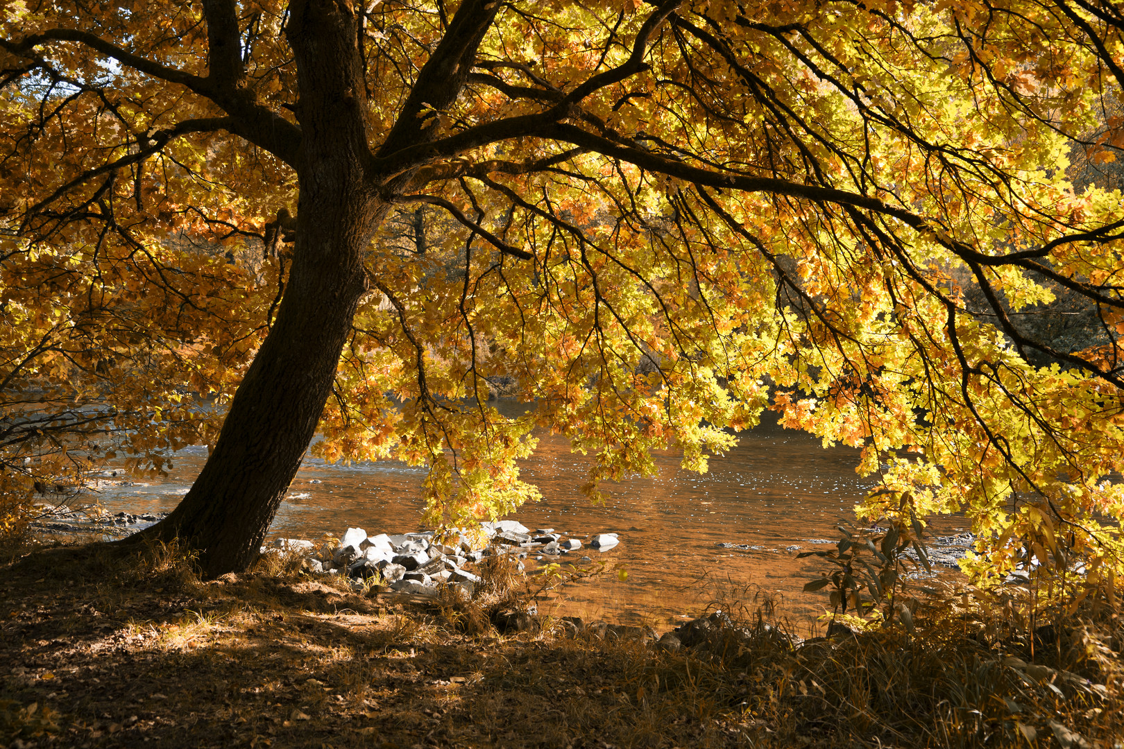 Herbstsonne im Siegtal