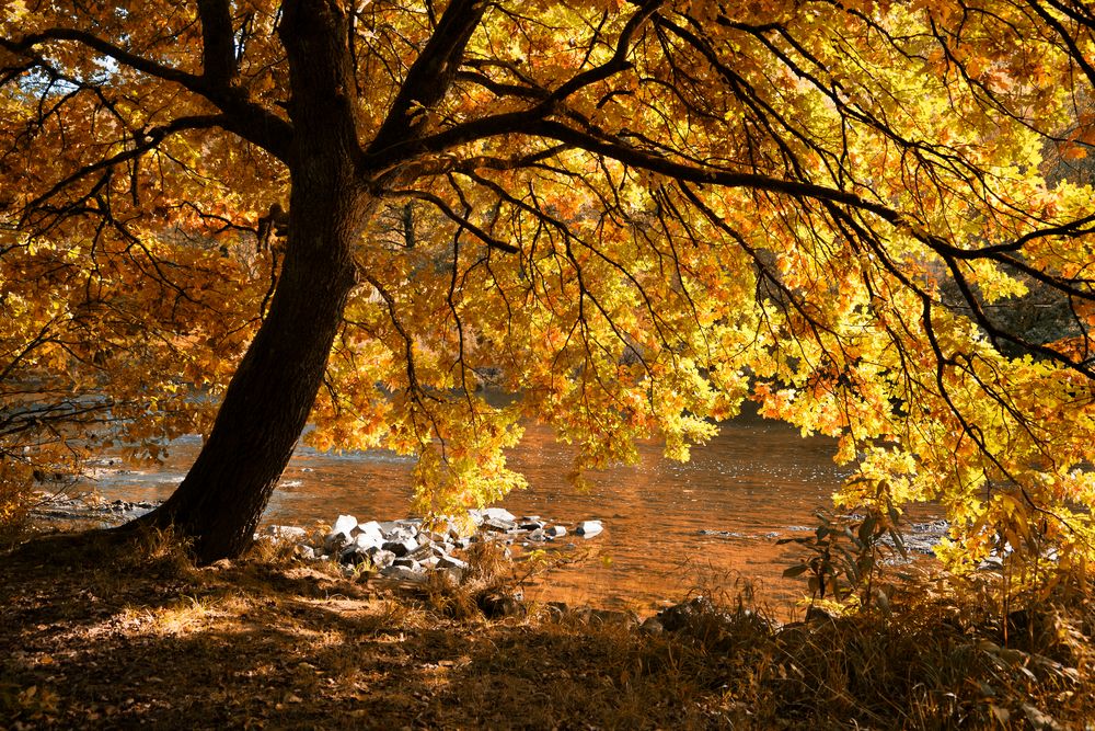 Herbstsonne im Siegtal