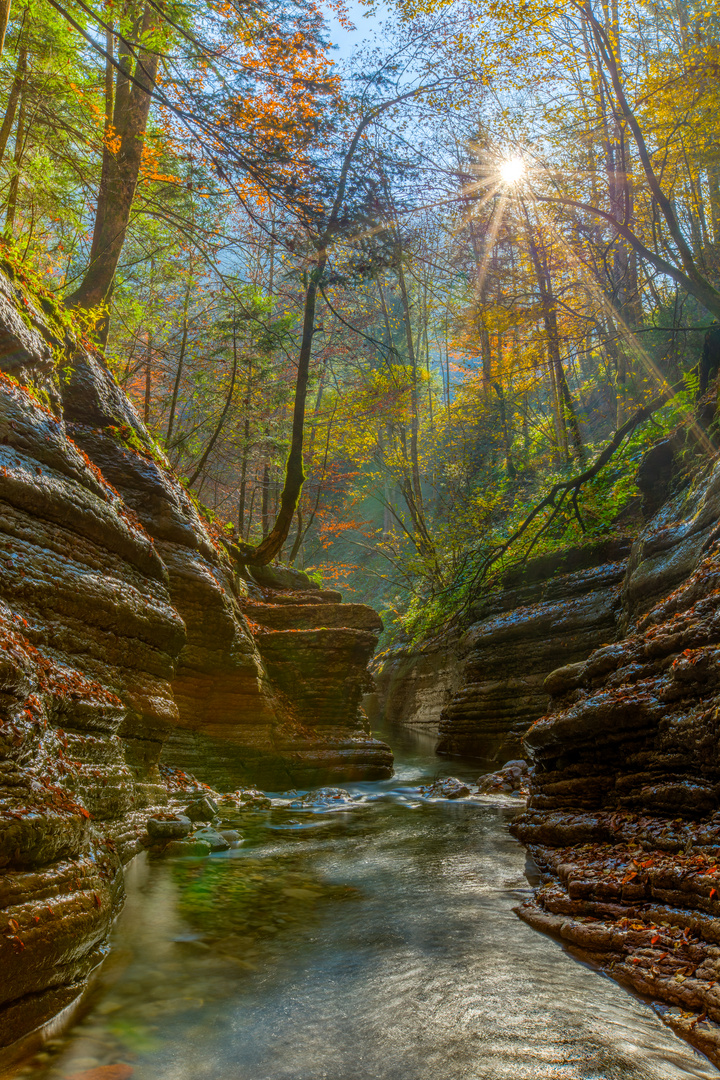 Herbstsonne im Taugelbach "Canyon"