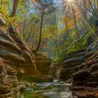 Herbstsonne im Taugelbach "Canyon"