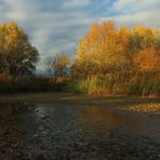 Herbstsonne im Westpark