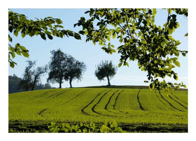 Herbstsonne in Aschach an der Steyr