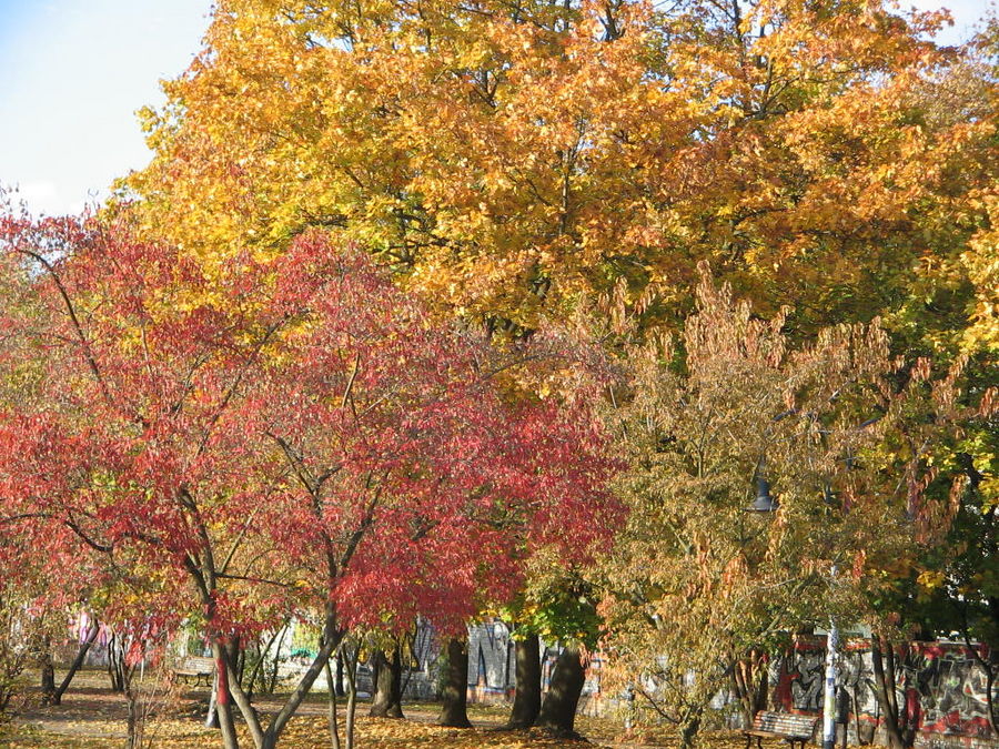 Herbstsonne in Berlin 09