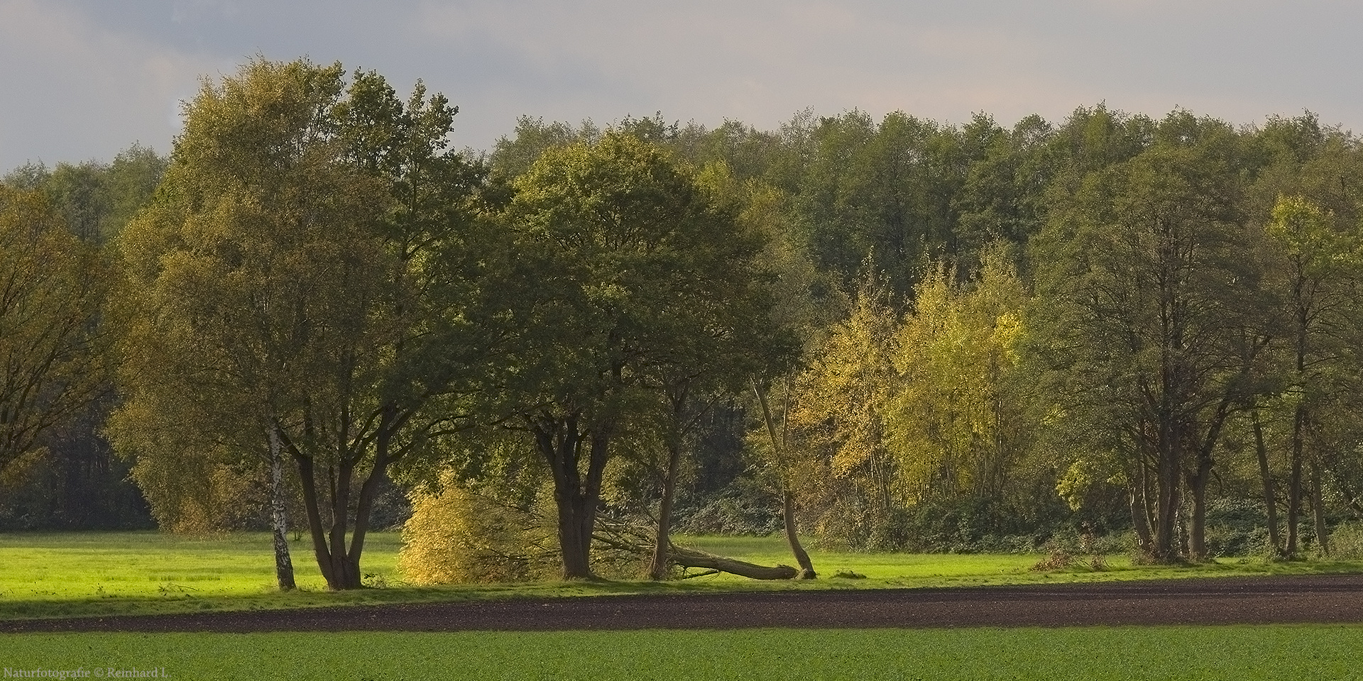  Herbstsonne in den Dorfwiesen