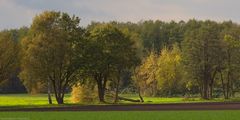  Herbstsonne in den Dorfwiesen