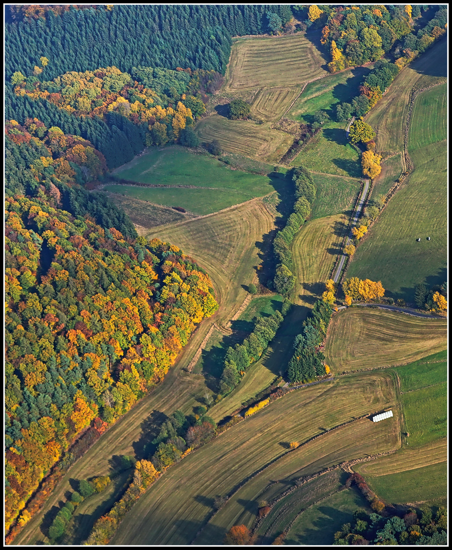 Herbstsonne in der Eifel