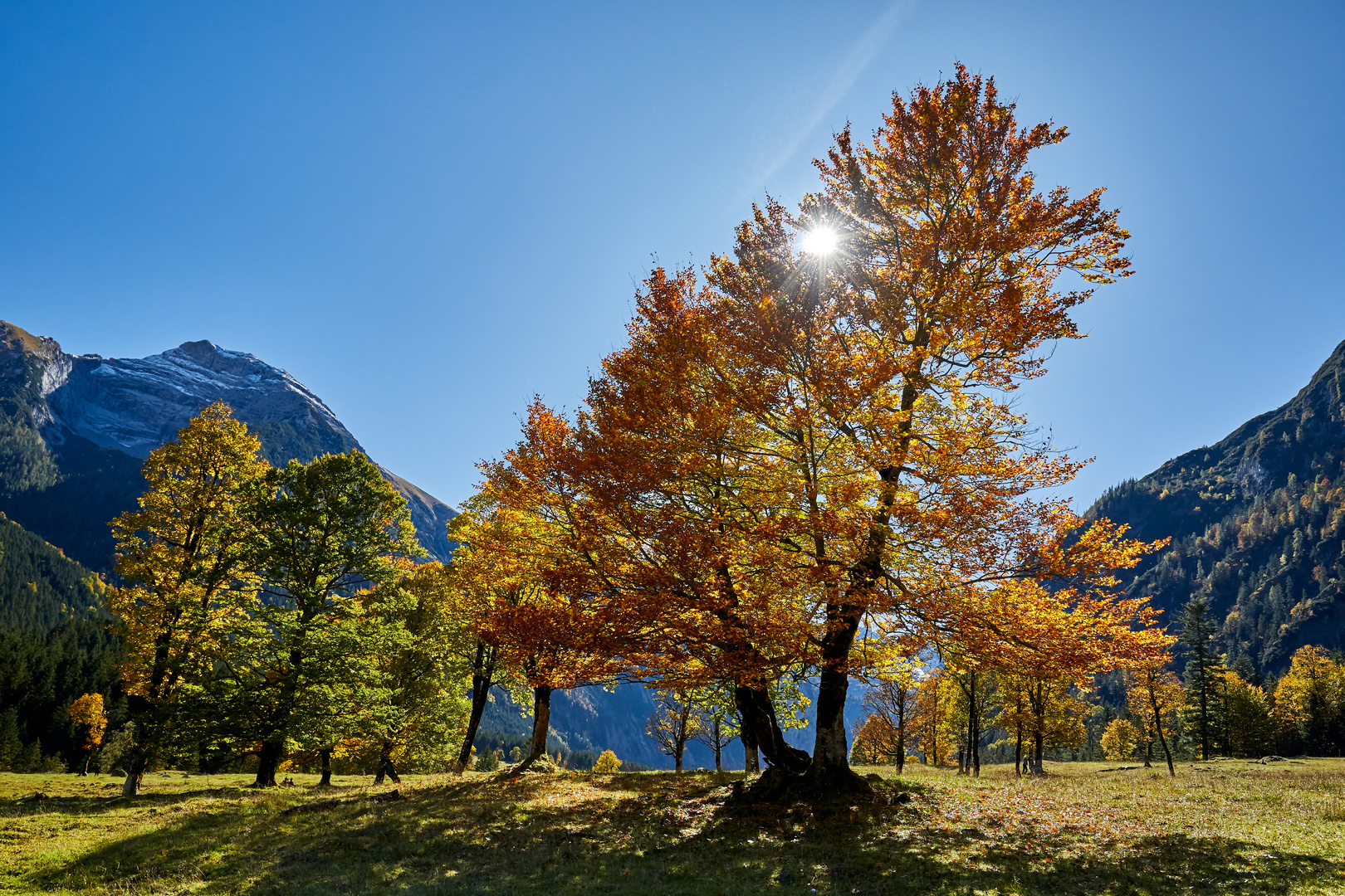 Herbstsonne in der Eng