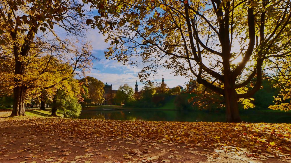 Herbstsonne in Dresden 