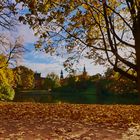 Herbstsonne in Dresden 