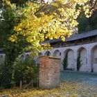 Herbstsonne in Landshut