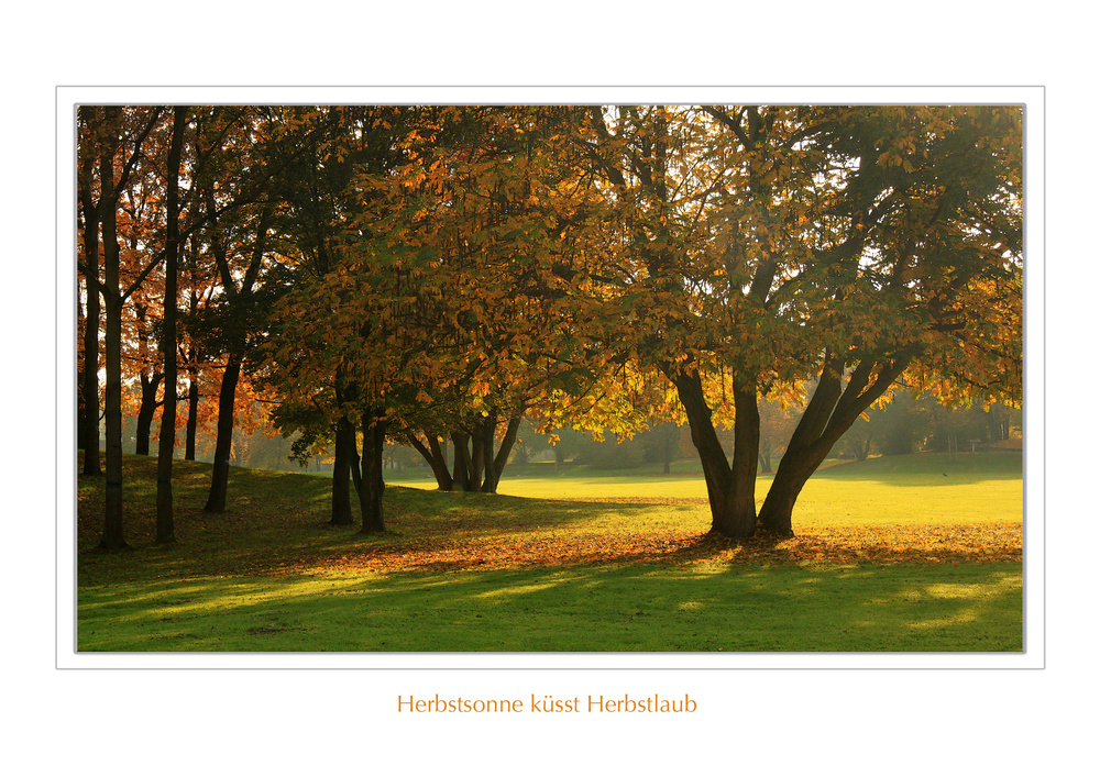 Herbstsonne küsst...