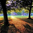 Herbstsonne lässt Schatten werfen