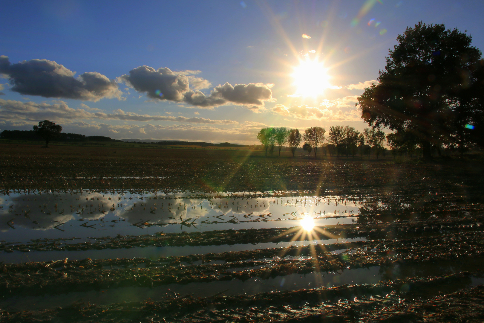 Herbstsonne (n)