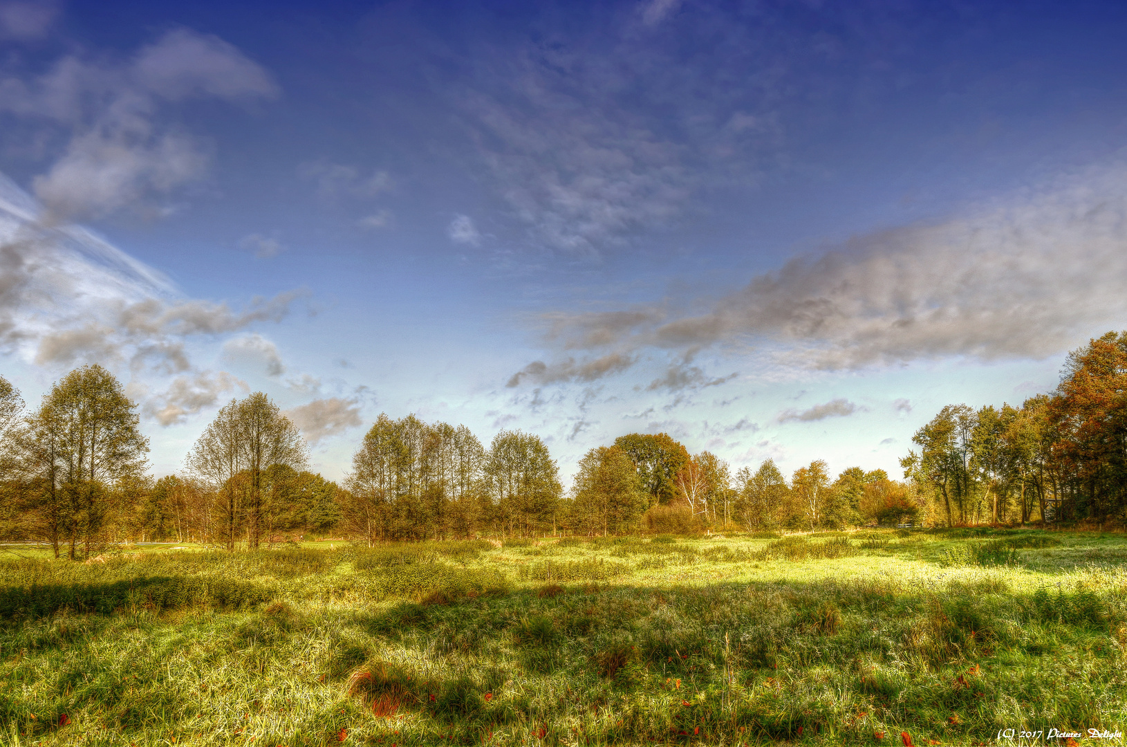 - Herbstsonne Schleswiger Land -