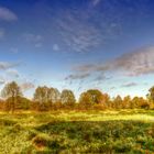 - Herbstsonne Schleswiger Land -