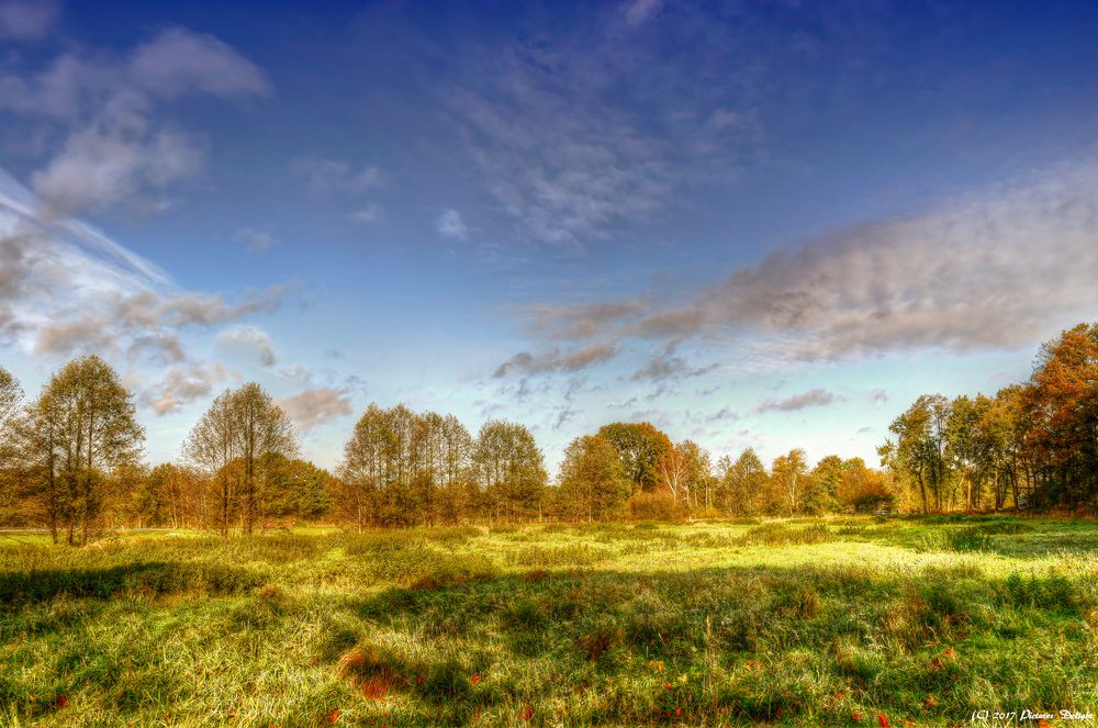 - Herbstsonne Schleswiger Land -