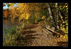 Herbstsonne tanken