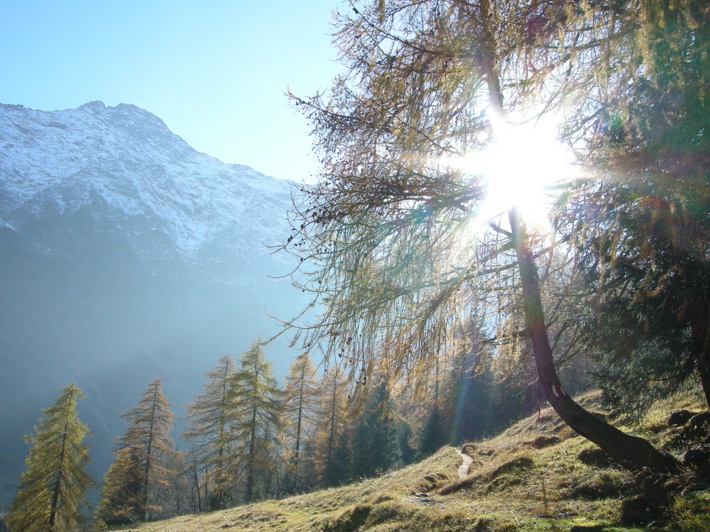 Herbstsonne - Tessiner Alpen bei Dalpe