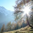 Herbstsonne - Tessiner Alpen bei Dalpe