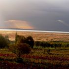 Herbstsonne über dem Neusiedlersee