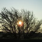 Herbstsonne über Neßmersiel