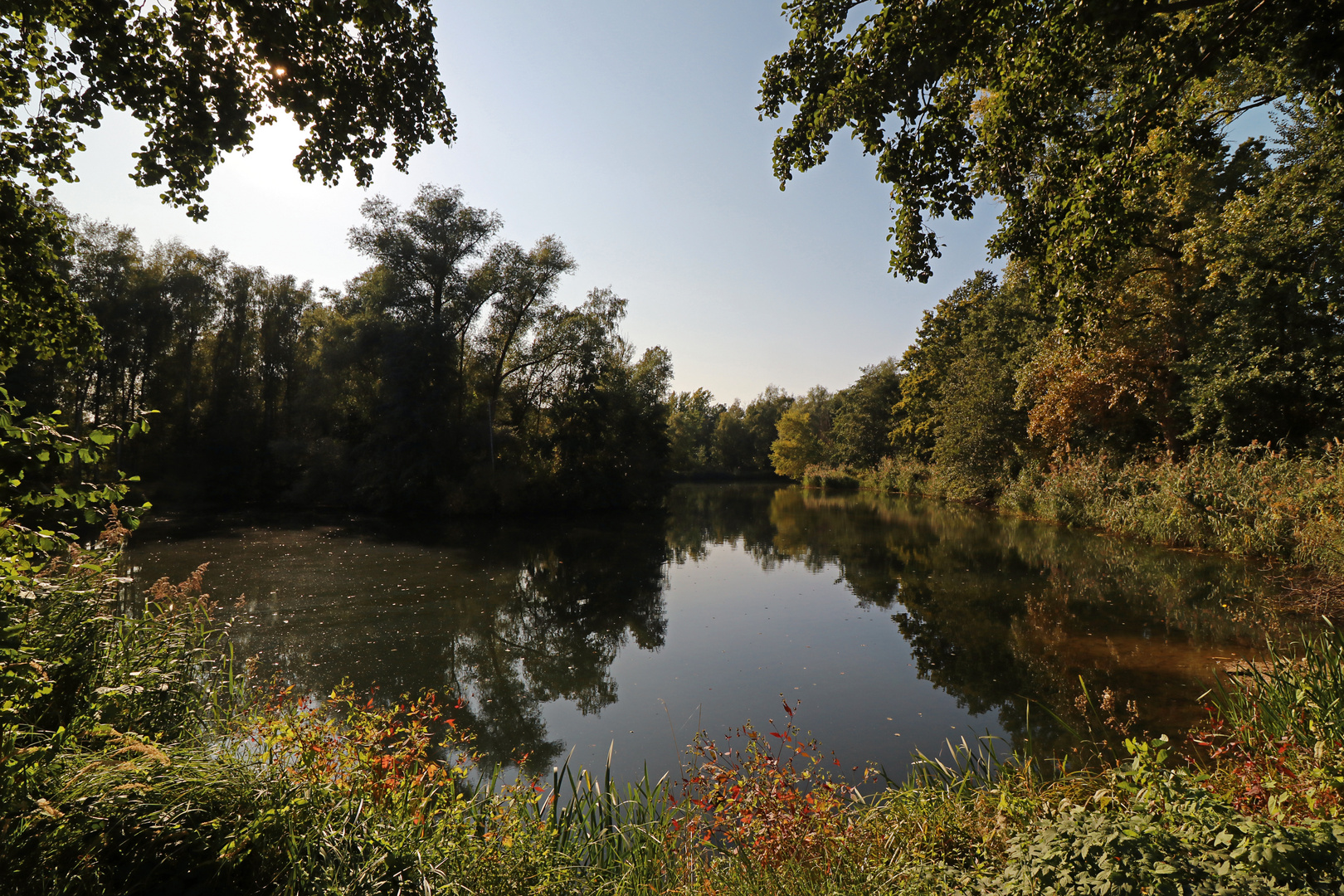 Herbstsonne überm Teich