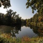 Herbstsonne überm Teich