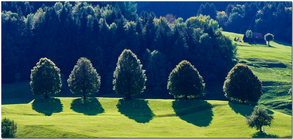 Herbstsonne und Föhn...