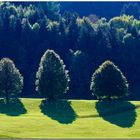 Herbstsonne und Föhn...