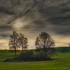 Herbstsonne und Hochnebel