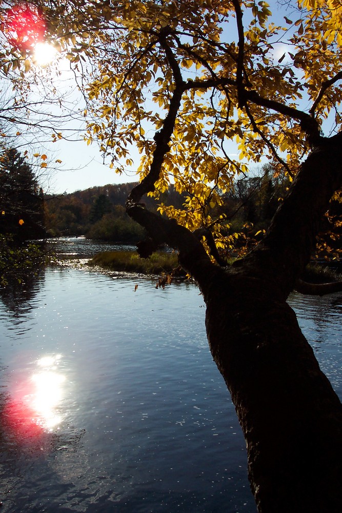 Herbstsonnen