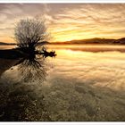 Herbstsonnenaufgang am Wallersee ...