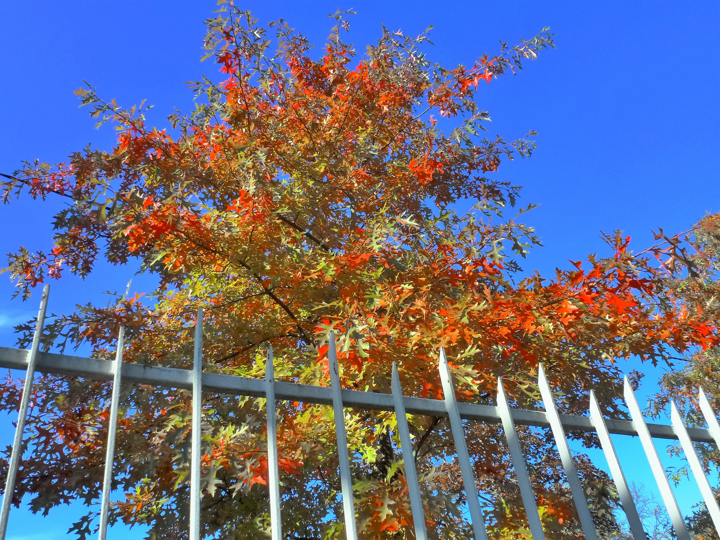 Herbstsonnensonntag