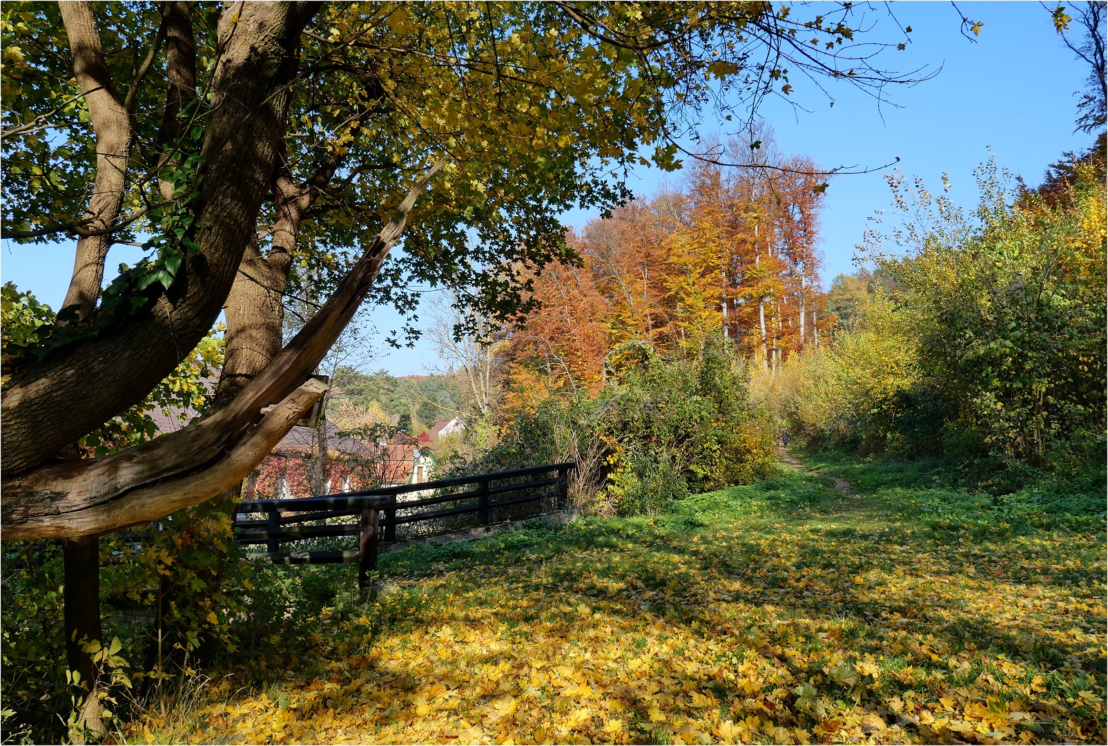 Herbstsonnensonntag in Mauerbach