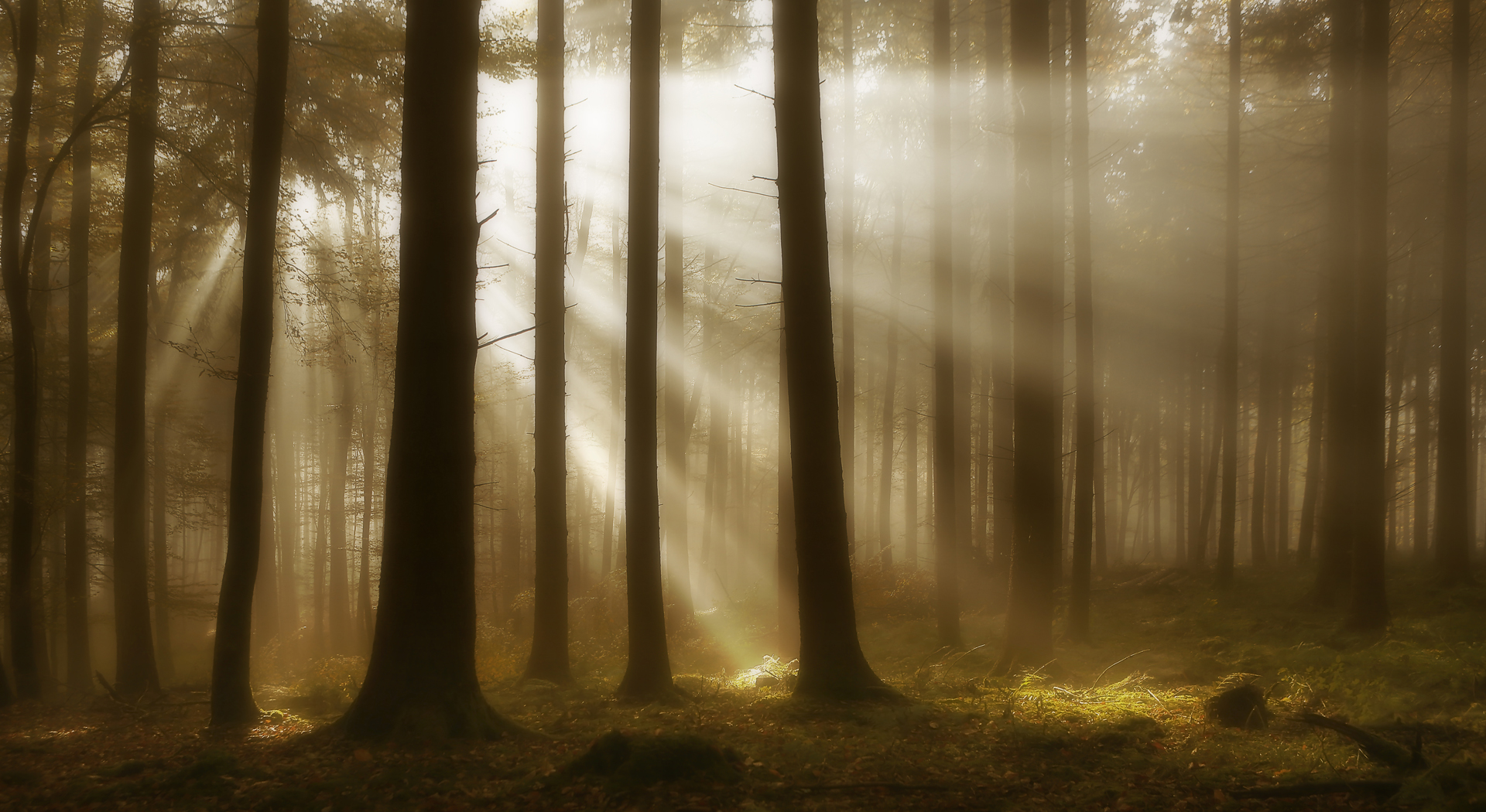 Herbstsonnenstrahlen