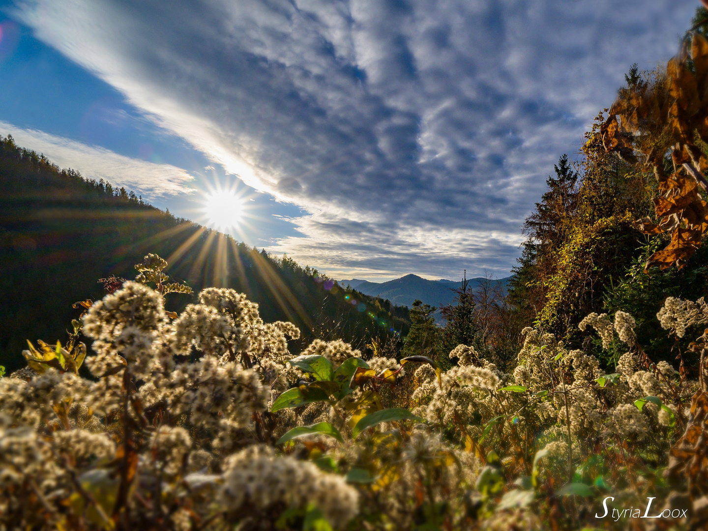 Herbstsonnenstrahlen