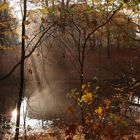 Herbstsonnenstrahleninterferenzlichtwellen