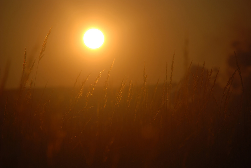 Herbstsonnentraum