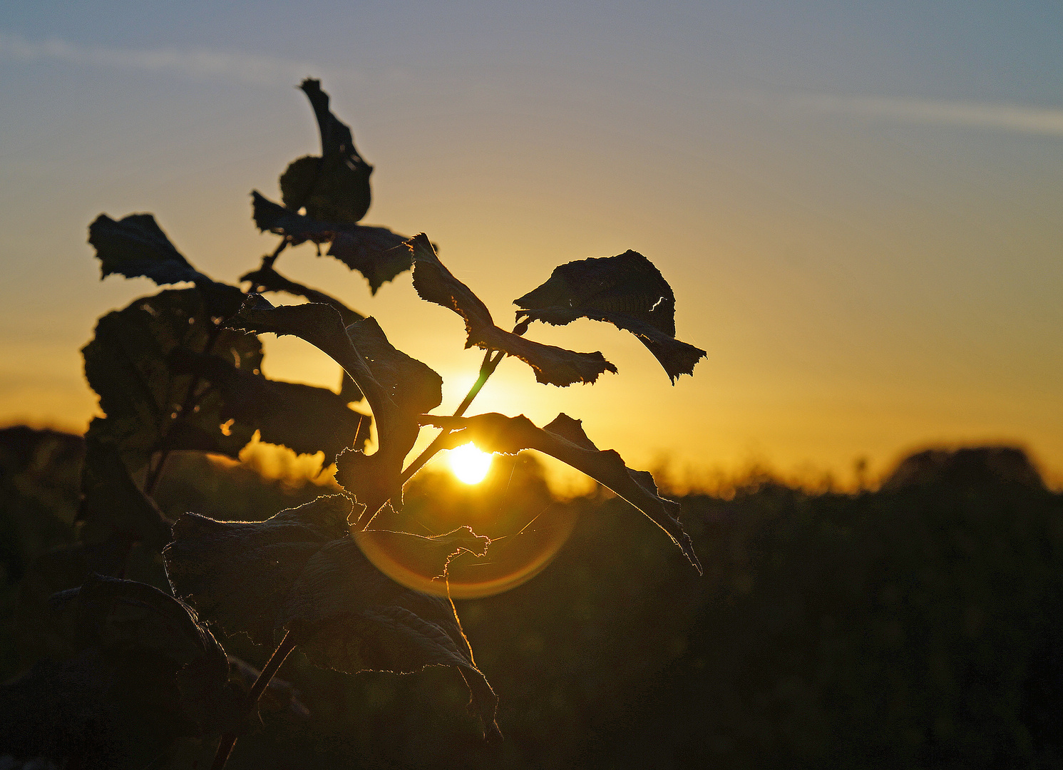 Herbstsonnenuntergang