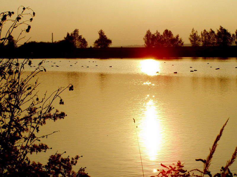 Herbstsonnenuntergang am See