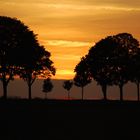 Herbstsonnenuntergang auf der Haar