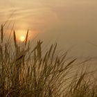 Herbstsonnenuntergang auf Hiddensee 02