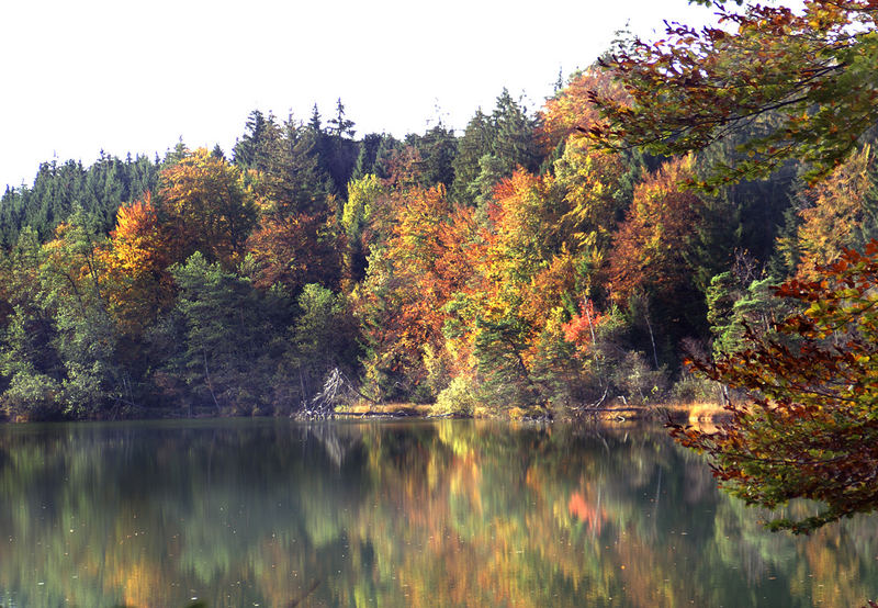 Herbstsonntag