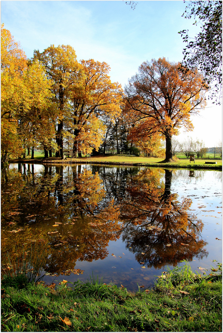 Herbstsonntag am Schloßteich